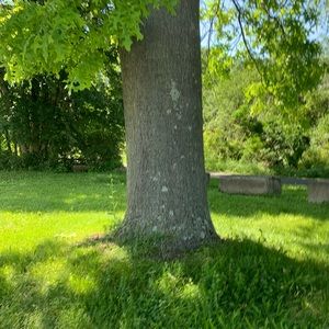 Meet your Posher, Frankie